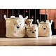 Καλάθι αποθήκευσης 25x20x20 cm teddy white