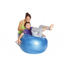 Μπάλα γυμναστικής Gymnic Body Ball 95 εκ. μπλε