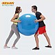 Μπάλα για γυμναστική Physio Gymnic 95cm μπλε
