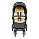 Phil & Teds Pram Smart V3.6 + Μαύρο χαλάκι