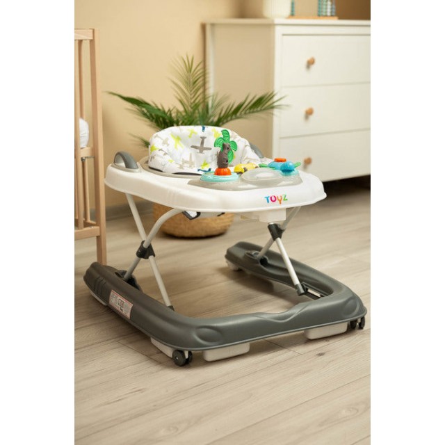 Проходилка Surf Fly Caretero Toyz