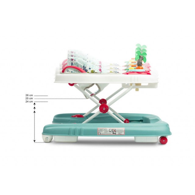 Проходилка Surf Fly Caretero Toyz