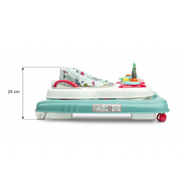 Проходилка Surf Fly Caretero Toyz
