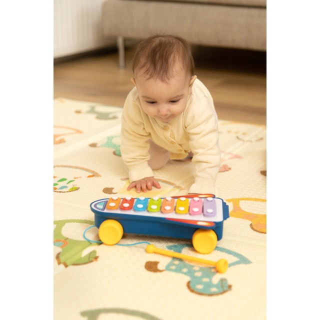 Образователна Играчка - Rainbow Cymbals Caretero Toyz
