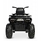 Αυτοκίνητο με μπαταρία Terra Black Caretero Toyz