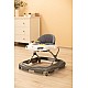Проходилка Cario Graphite Caretero Toyz