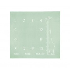 Μουσελίνα φωτο-κάπα Giraffe Mint 120x120 εκ.
