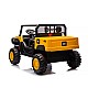 Ηλεκτρικό αυτοκίνητο για 2 παιδιά BUGGY CAT UTV