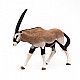 Ειδώλιο αντιλόπης Oryx