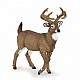 Ειδώλιο ελαφιού Whitetail