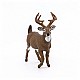 Ειδώλιο ελαφιού Whitetail
