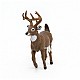 Ειδώλιο ελαφιού Whitetail