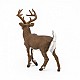 Ειδώλιο ελαφιού Whitetail