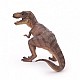 Tyrannosaurus rex
