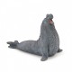 Συλλεκτική και Παίξτε Φιγούρα - Elephant Seal