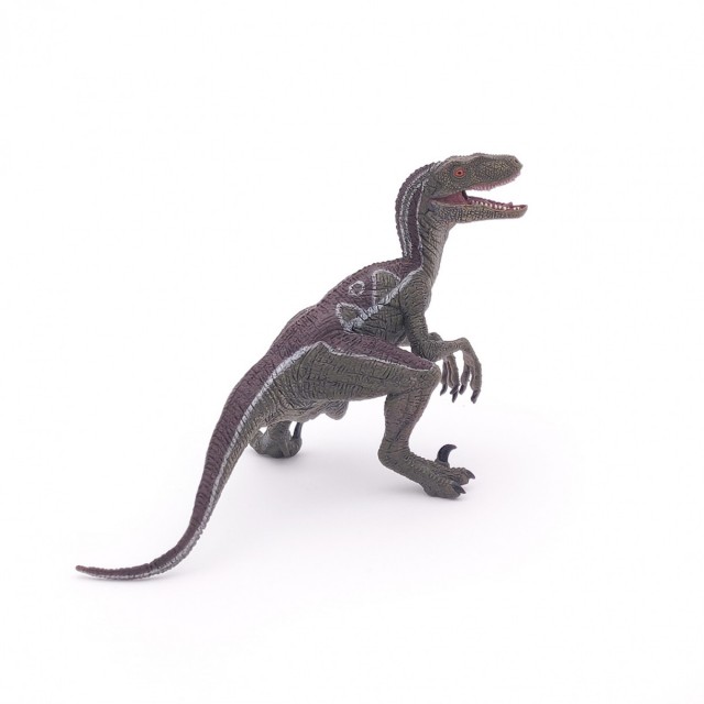 Δεινόσαυρος Velociraptor