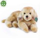 Golden Retriever Λούτρινο Ανακλινόμενο Σκυλί 32 cm.