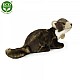 Λούτρινο Beech marten γένους Marten 24 cm.