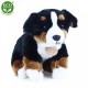 Βελούδινο κάθισμα Bernese Mountain Dog 25 cm.