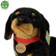 Λούτρινο Dachshund Dog 30 cm.