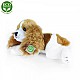 Λούτρινο Dog Cavalier King Charles Spaniel ξαπλωμένος 30 cm.
