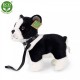 Λούτρινο σκυλί Boston terrier με λουρί όρθιο 23 cm.