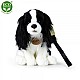Λούτρινο Dog Cavalier King Charles Spaniel με λουρί 27 cm.