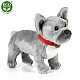 Λούτρινο Dog French Bulldog γκρι όρθιο 30 cm.