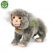 Λούτρινο Νάνος Marmoset 25 εκ.