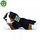 Λούτρινο σκυλί Bernese Mountain Dog ξαπλωμένος 23 cm.