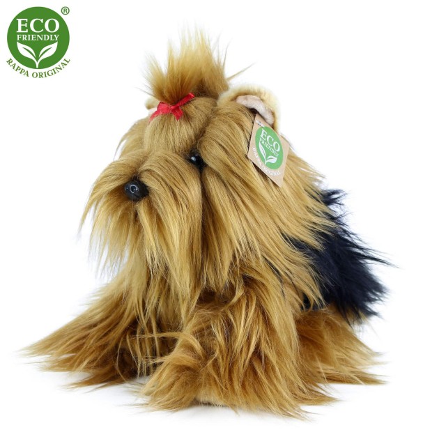 Λούτρινο σκυλί Yorkshire terrier κάθεται 23 cm.