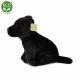 Λούτρινο Dog Starfordshire Bull Terrier μαύρο 30 cm.