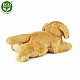 Λούτρινο Golden Retriever 30 cm ξαπλωμένο