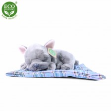 Λούτρινο Dog Grey French Bulldog που κοιμάται σε χαλί 23 cm.