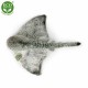 Λούτρινο Stingray 43 cm.
