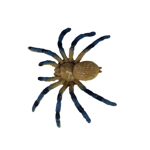 Σετ ειδώλια Spiders I - 5 τεμάχια 9-10 cm.