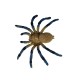 Σετ φιγούρες Spiders II - 5 τεμάχια 9-10 cm.
