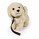 Λούτρινο σκύλο Golden Retriever με λουρί 25 cm.