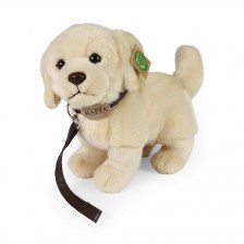 Λούτρινο σκύλο Golden Retriever με λουρί 25 cm.