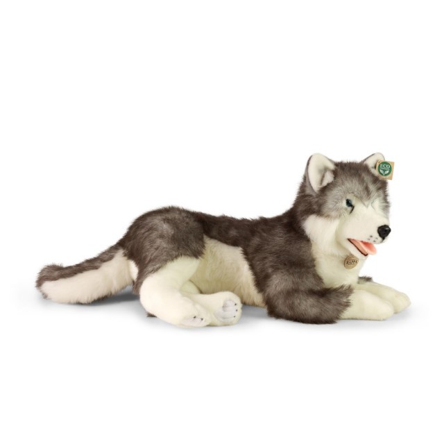 Μεγάλος σκύλος Siberian husky 60 cm ξαπλωμένος