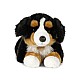 Μεγάλο βελούδινο Bernese Mountain Dog 61 cm.