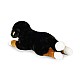 Μεγάλο βελούδινο Bernese Mountain Dog 61 cm.
