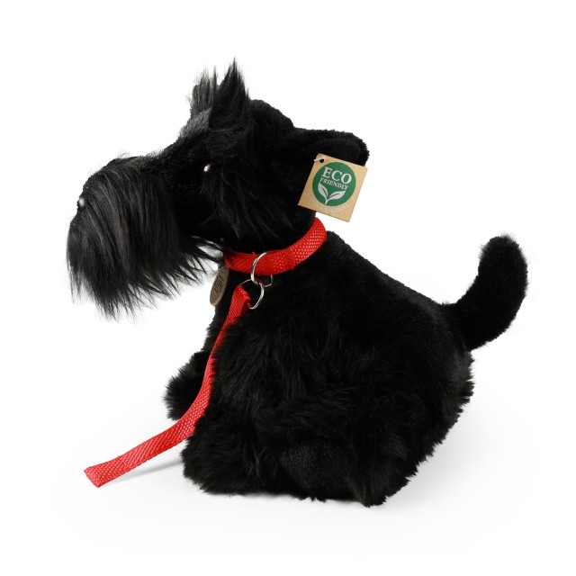 Λούτρινο Schnauzer που κάθεται σε λουρί 30 cm.
