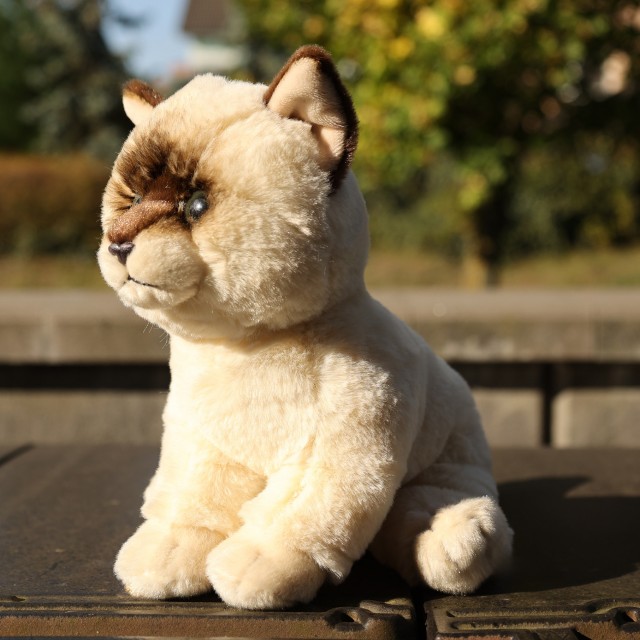 Λούτρινο Ragdoll με καθιστή γάτα 23 εκ. Σειρά Soft Collection
