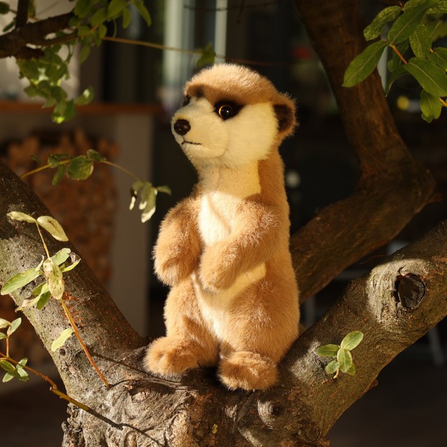 Λούτρινο Meerkat με όρθια στάση 23 εκ. Σειρά Soft Collection