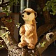 Λούτρινο Meerkat με όρθια στάση 23 εκ. Σειρά Soft Collection