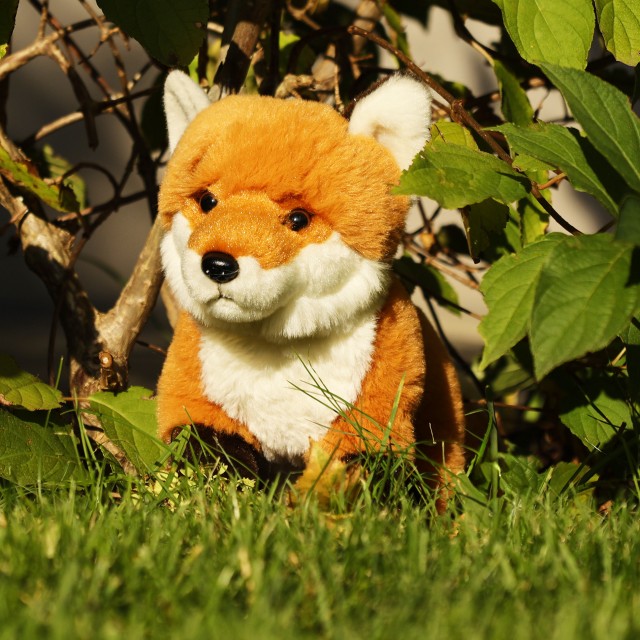 Λούτρινο Fox με κάθισμα 23 εκ. Σειρά Soft Collection