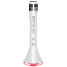 Παιδικό μικρόφωνο Bluetooth με φώτα LED και ηχείο