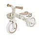 Τρίκυκλο με γονικό έλεγχο 3 σε 1 GLOBBER LEARNING TRIKE PLUS, μπεζ