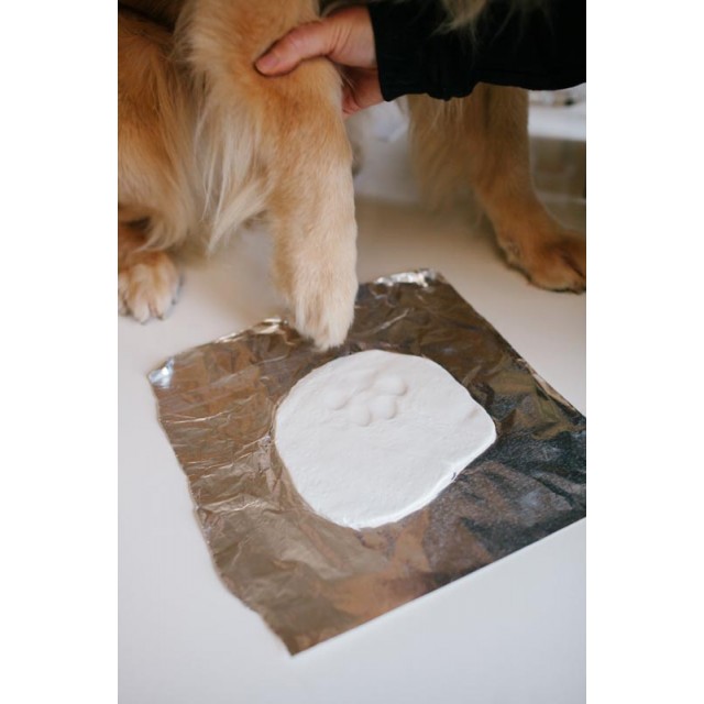 Pearhead Photo and Clay Pet Print Desk Frame - Distressed Grey